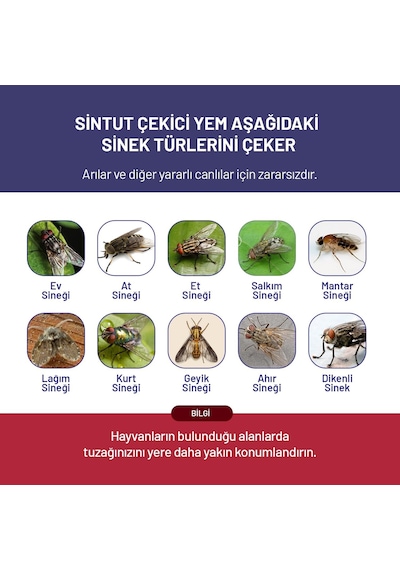 12 Adet Sintut Karasinek Tuzağı İçin Çekici Yem 300 Gr.