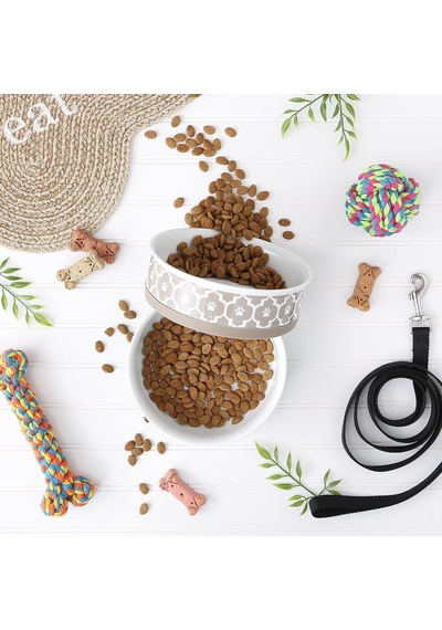 Lattice Collection Evcil Hayvan Kasesi Ve Kutu, Büyük Set, 7,5 X 2,4, Taş, 2 Parça Beyaz - Çok Renkli
