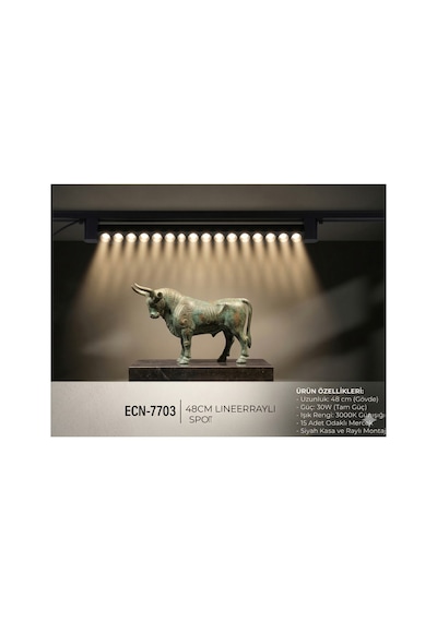 Siyah Kasa Günışığı 180 ' Magnet Led Ray Spot Lamba 1 Metre Raylı Armatür 48cm Diğer