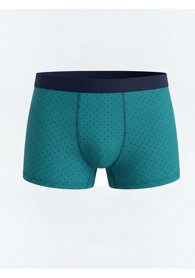 LC Waikiki Lc Waıkıkı Yeşil Standart Kalıp Pamuklu Esnek Erkek Boxer