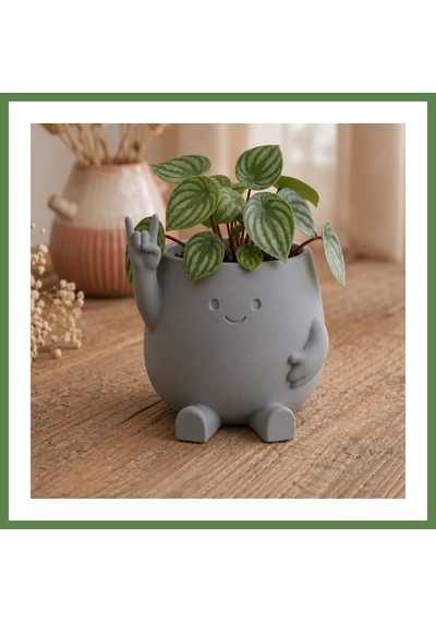 Bezos 3d Baskı Smiley Face Planter - Gülümseyen Karakterli Saksı-gri Hb006