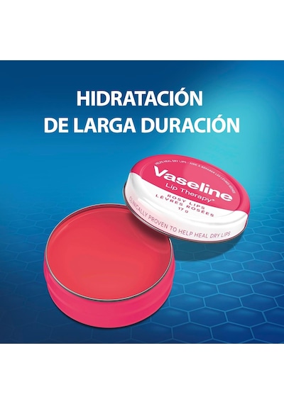 Lip Therapy Rose Dudak Bakım Kremi 20 G