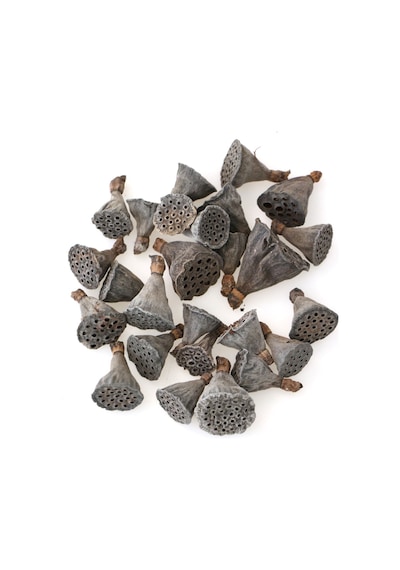 Yapay Çiçek Deposu 25li Paket Mini Lotus Plant Gerçek Lotus