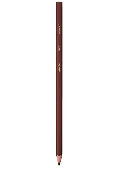 Bic Kids Evolution Kuru Boya Kalemi 24 + 1'li Metal Tüp
