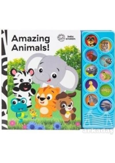 Baby Einstein: Amazing Animals 10-button Sound Book Ciltli Pı Kids