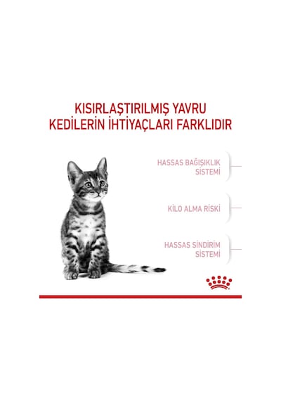 Royal Canin Kısırlaştırılmış Yavru Kedi Maması 2 KG