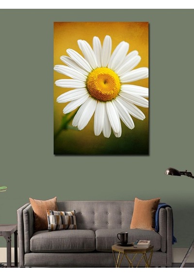Kanvas Tablo Papatya Ve Saflık 70cmx100cm