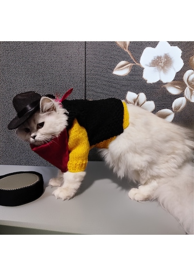 Kedi Ve Köpek İçin Redkit Kostümü Şapka, Bandana, Kazak, Yelek Takım
