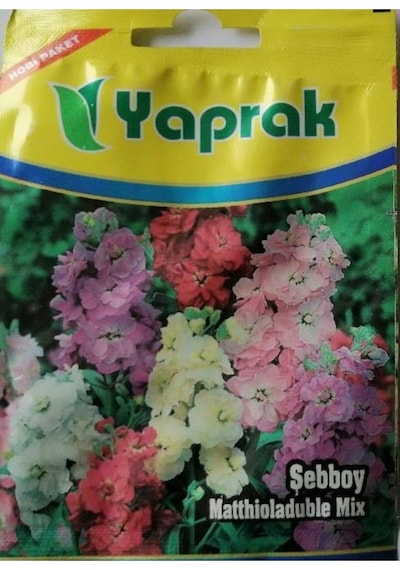Çiçek Tohumu Şebboy 75 Ad