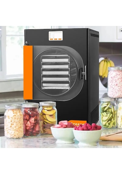 Dalle Dfd-06 Freeze Dryer Dondurarak Gıda Kurutma Fırını
