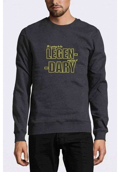 I Met Your Mother Legendary Camiseta Baskılı Füme Erkek Sweat