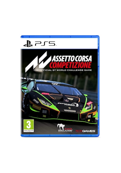 Assetto Corsa Competizione Standard Edition PS5