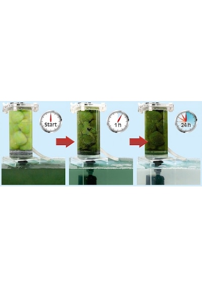 Sera Crystal Clear Su Berraklaştırıcı 5 Adet (Kutudan Bölme)