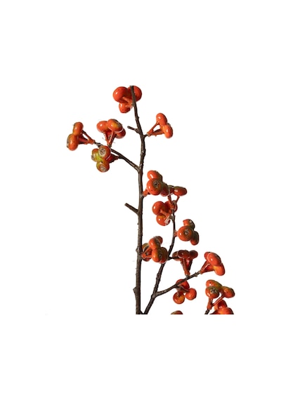 Mudo Home Orange Berry Dal Çiçek 88 Cm 1484476