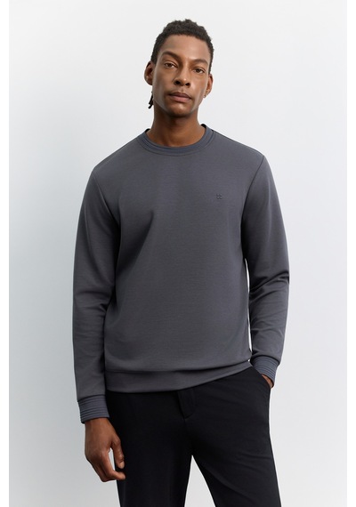 Avva Erkek Antrasit Bisiklet Yaka Kolay Ütülenen Regular Fit Sweatshirt B001035