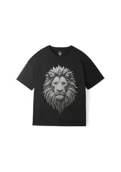 Galatasaray Lisanslı Siyah Aslan Baskılı Çocuk T-shirt 03-siyah