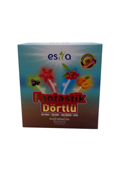 Fantastik Dörtlü Sel Yaz Çayı 45 Süzen Poşet