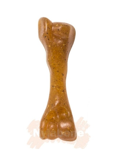 Nylabone Biftek Aromalı Yavru Köpek Çiğneme Kemiği S Nylabone Biftek Aromalı Yavru Köpek Çiğneme Kemiği S