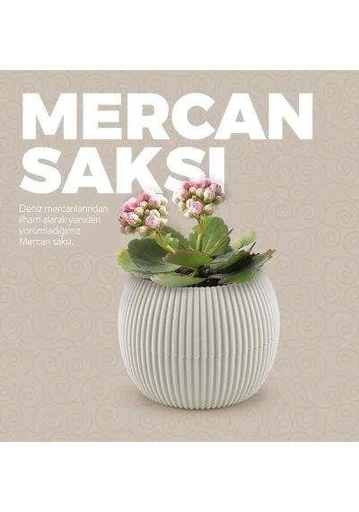 Mercan Yuvarlak Saksı Seti 0,35 Litre + 1,2 Litre, İç Mekan - Dış Mekan 2li Ekonomik Tabaklı Plastik Saksı Set Latte Renk 001