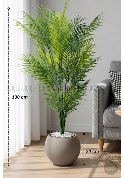 Biçiçek Areka Ağaci 24 Yapraklı 130 Cm Mocha Küre Saksıda