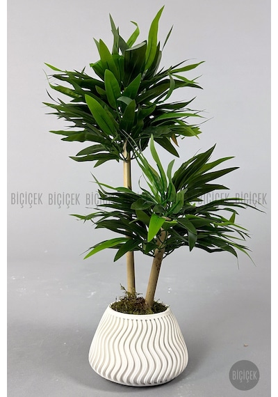 Yapay Bambu Ağacı 60cm Yoğun Yapraklı Spiral Saksıda Beyaz