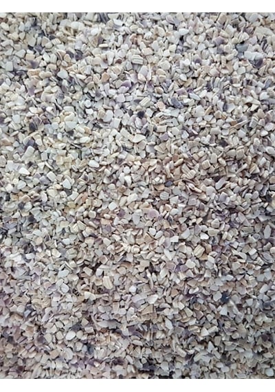 Purecanpati Midye Kırığı 100 Gram, 100 Gr, Beyaz