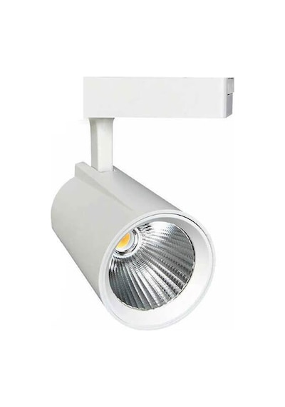 Forest 30w Ray Spot Beyaz Kasa Günışığı Çok Renkli