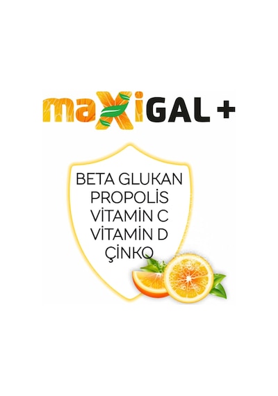 Maxigal Takviye Edici Gıda