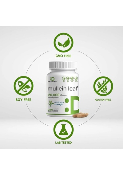 Mullein Leaf 20,000mg Herbal Equivalent, 240 Veggie Capsules