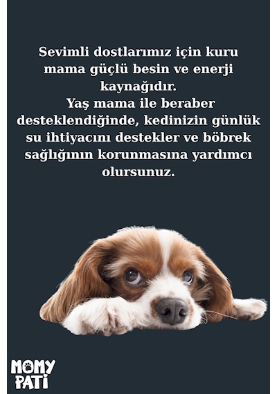Etli Konserve Köpek Maması 400 Gr X 4 Adet Yetişkin Köpekler İçin