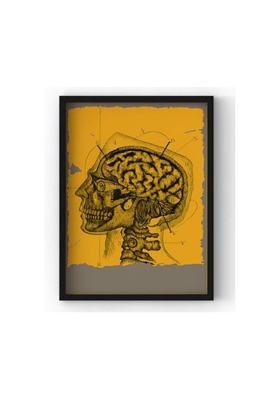 Siyah Ahşap Çerçeveli Anatomy Tablo Vintage Beyin Poster Ev Dekoru Siyah Çerçeveli 21 X 30 -