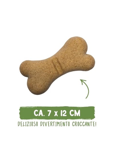 Dar Aralıklı Plastik Kedi Kumu Küreği, 28 Cm, Gri