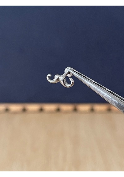 316 L Cerrahi Çelik Bıyık Altın Model Piercing Kıkırdak Labret Piercing Lila