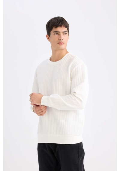 DeFacto Regular Fit Bisiklet Yaka Jakarlı Sweatshirt D5391AX24AUWT32
