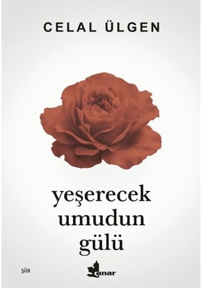 Yeşerecek Umudun Gülü