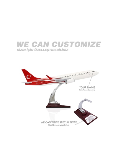 ZekUpp - Maket Uçak - Boeing 737-800 1/100 - TÜRKİYE Özel Tasarımlı Uçak Model F