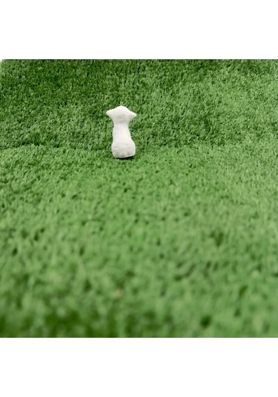 Kuzu - Teraryum Malzemesi