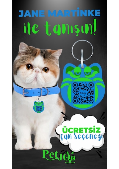 Petjoo 5.Jane Martinke Yeşil-Mavi Qr'lı Kedi Künyesi