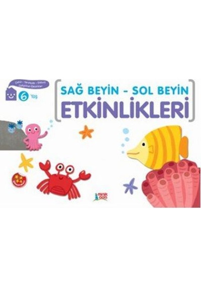 Sağ Beyin-Sol Beyin Etkinlikleri 6 - Minik Ada Yayınları