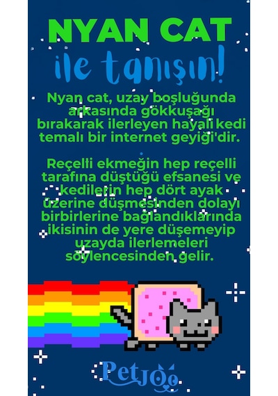Petjoo 2.Nyan Cat Mavi-Yeşil Qr'lı Kedi Künyesi