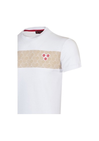 Raınsnow Erkek Sıfır Yaka T-Shirt-Altın (504689467) Altın