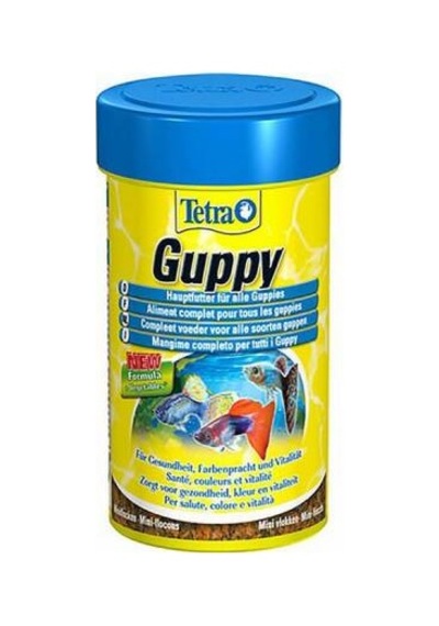 Northcity Guppy Balık Yemi 100 Ml