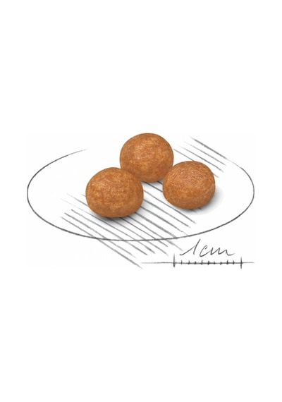 X-small Yetişkin Köpek Maması 500 Gr