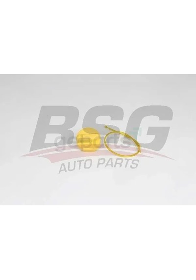 Motor Yag Cubugu Clio 3 2003