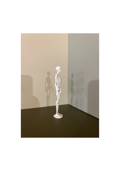 İnsan İskelet Kemiği Anatomisi Maketi Tıp Ve Eğitim İçin 3d Baskı Masaüstü Dekoratif Model