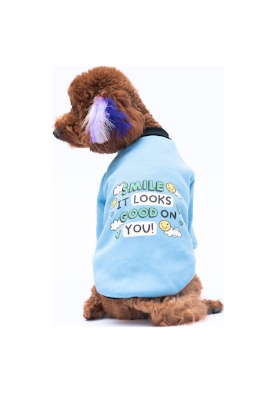 Mavi Loviisa Sweat Kedi Köpek Sweat- Kedi Köpek Kıyafeti