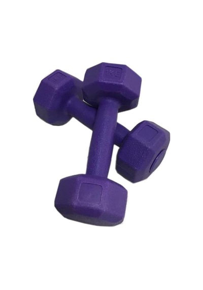 1 Kg Plastik Dambıl Set 2 Adet Mor Renk