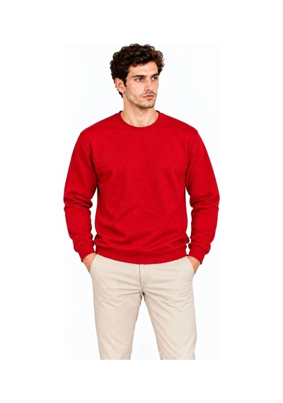 Erkek 2'li Bisiklet Yaka İçi Şardonlu 2 İplik Düz Uzun Kollu Regular Fit Sweatshirt - Mavi & Kırmızı Çok Renkli