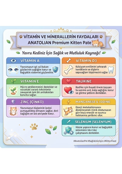Anatolian Premium Tavuklu Ezme Yavru Kedi Konservesi 400 G