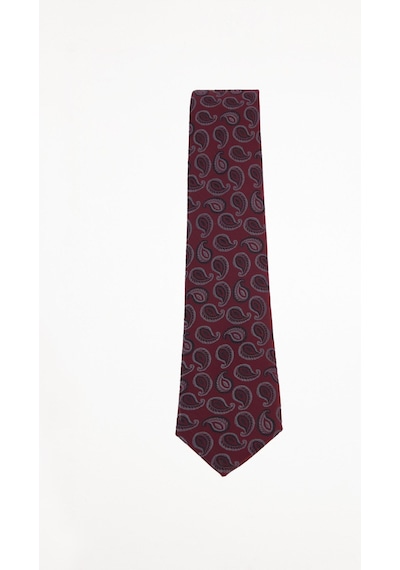 Tudors Erkek Bordo Paisley Desenli Klasik Kravat Ve Cep Mendili Takımı-51512